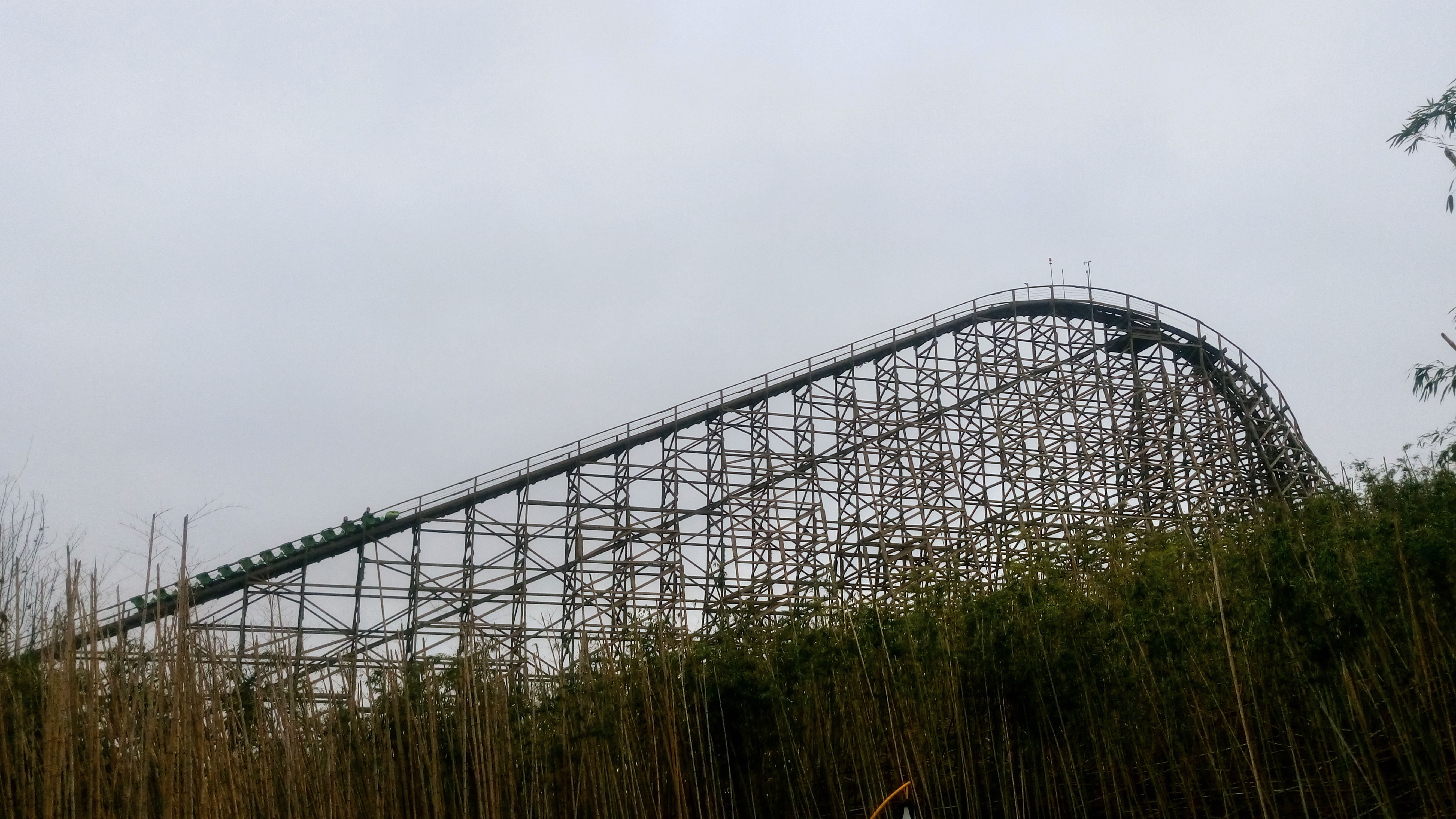 Ride Review Python in Bamboo Forest Heartline Coaster