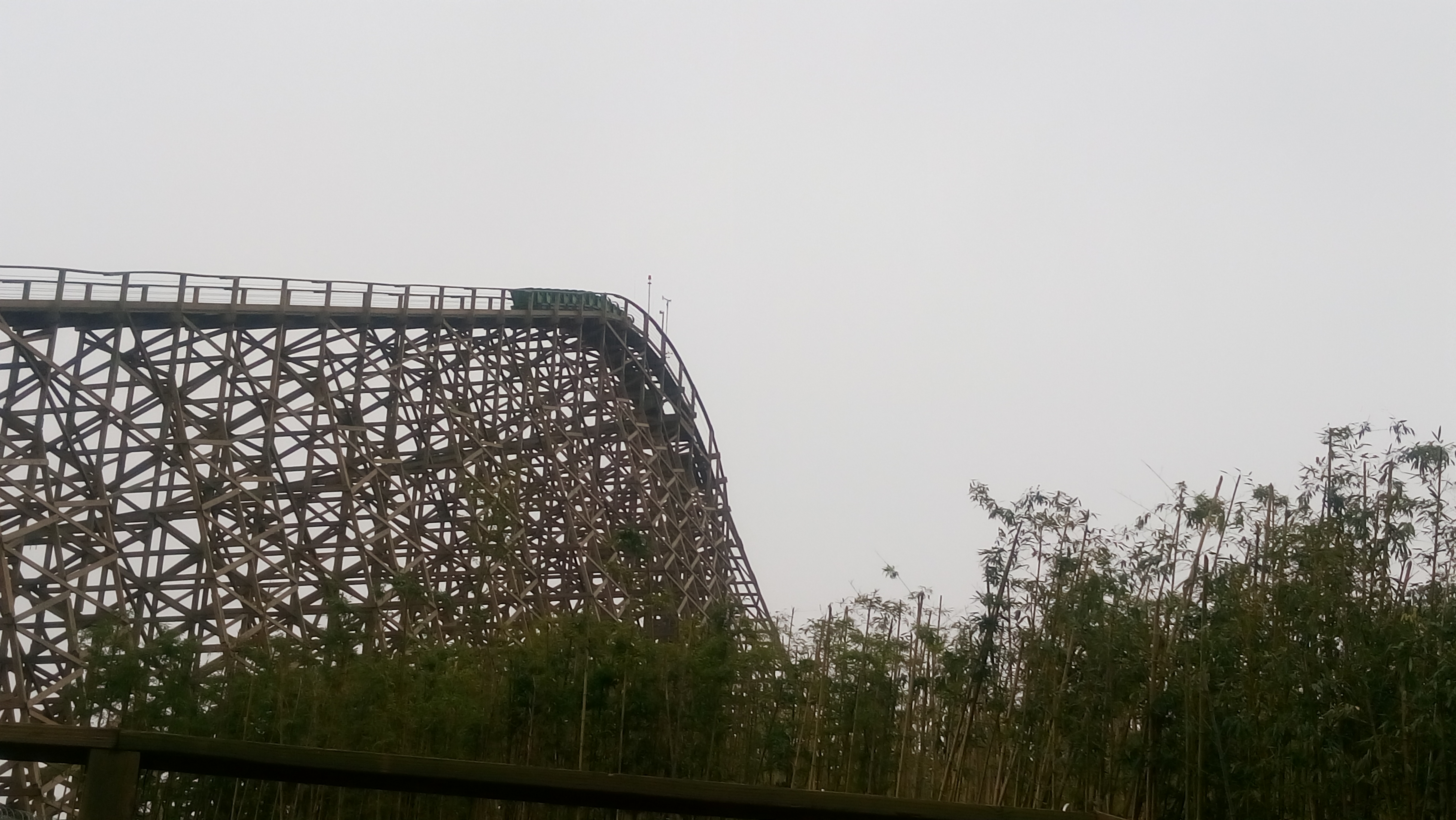 Ride Review Python in Bamboo Forest Heartline Coaster