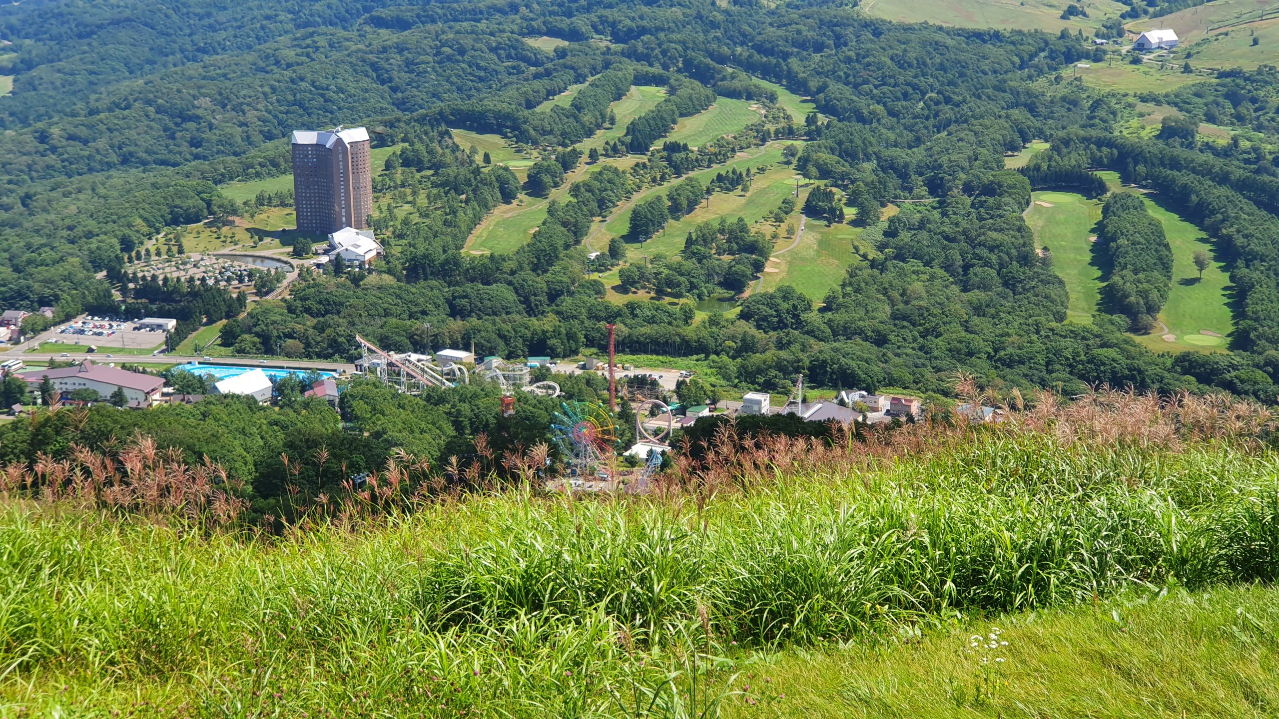 20250815_230016-scaled.jpg