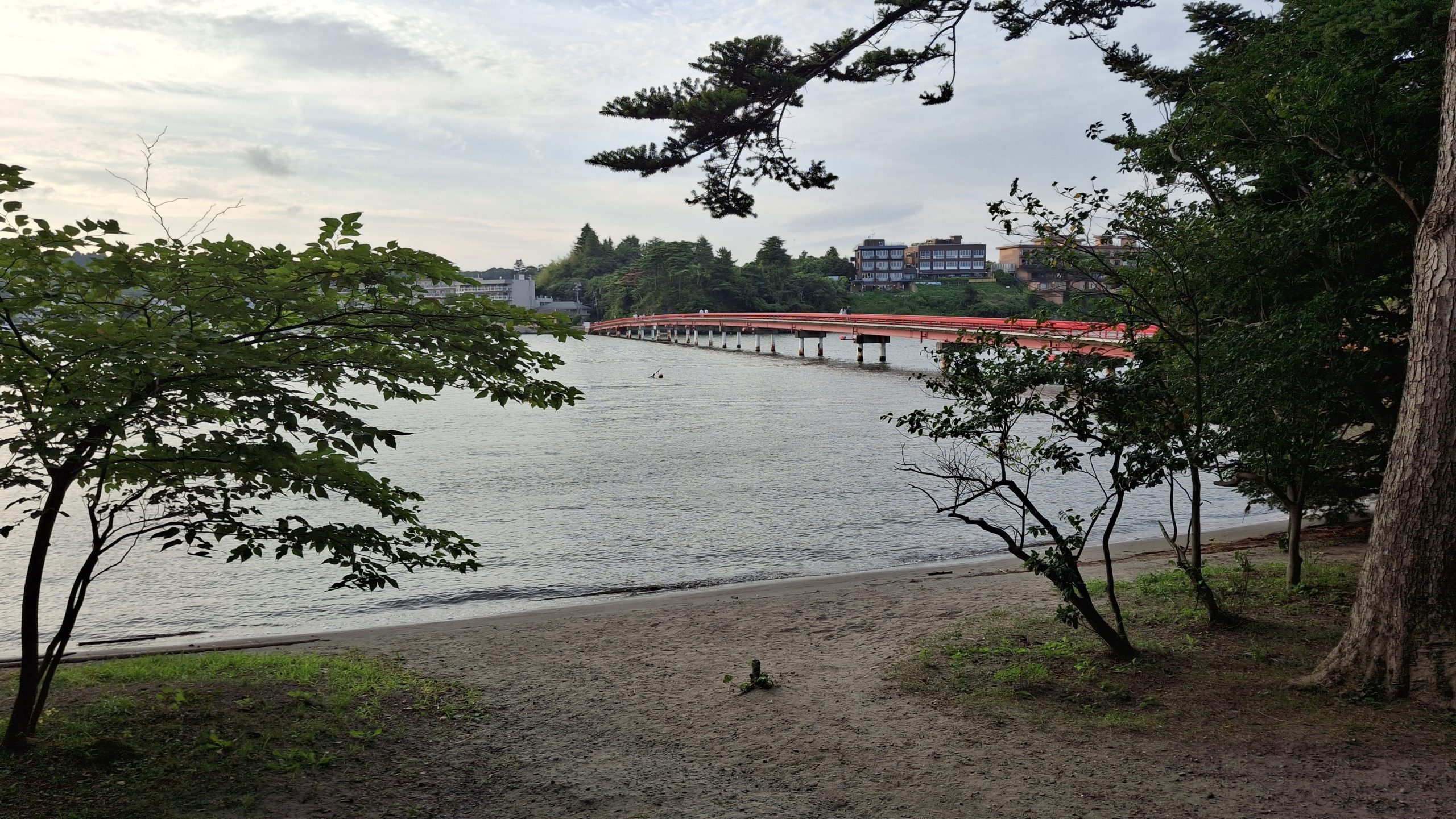 20250822_172431-scaled.jpg