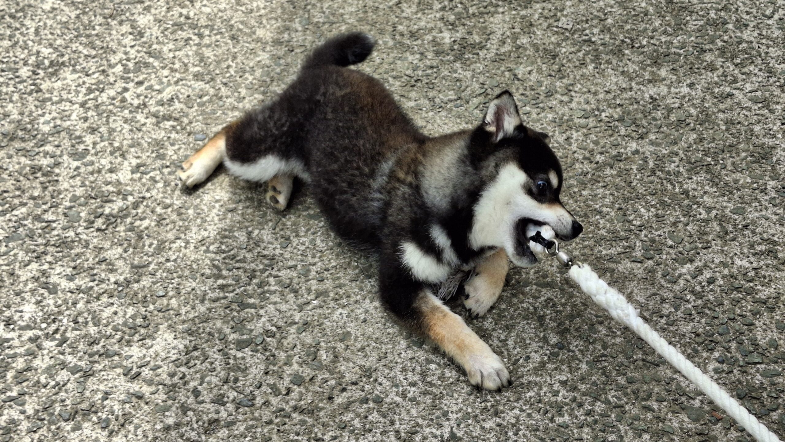 20260506_112817-scaled.jpg