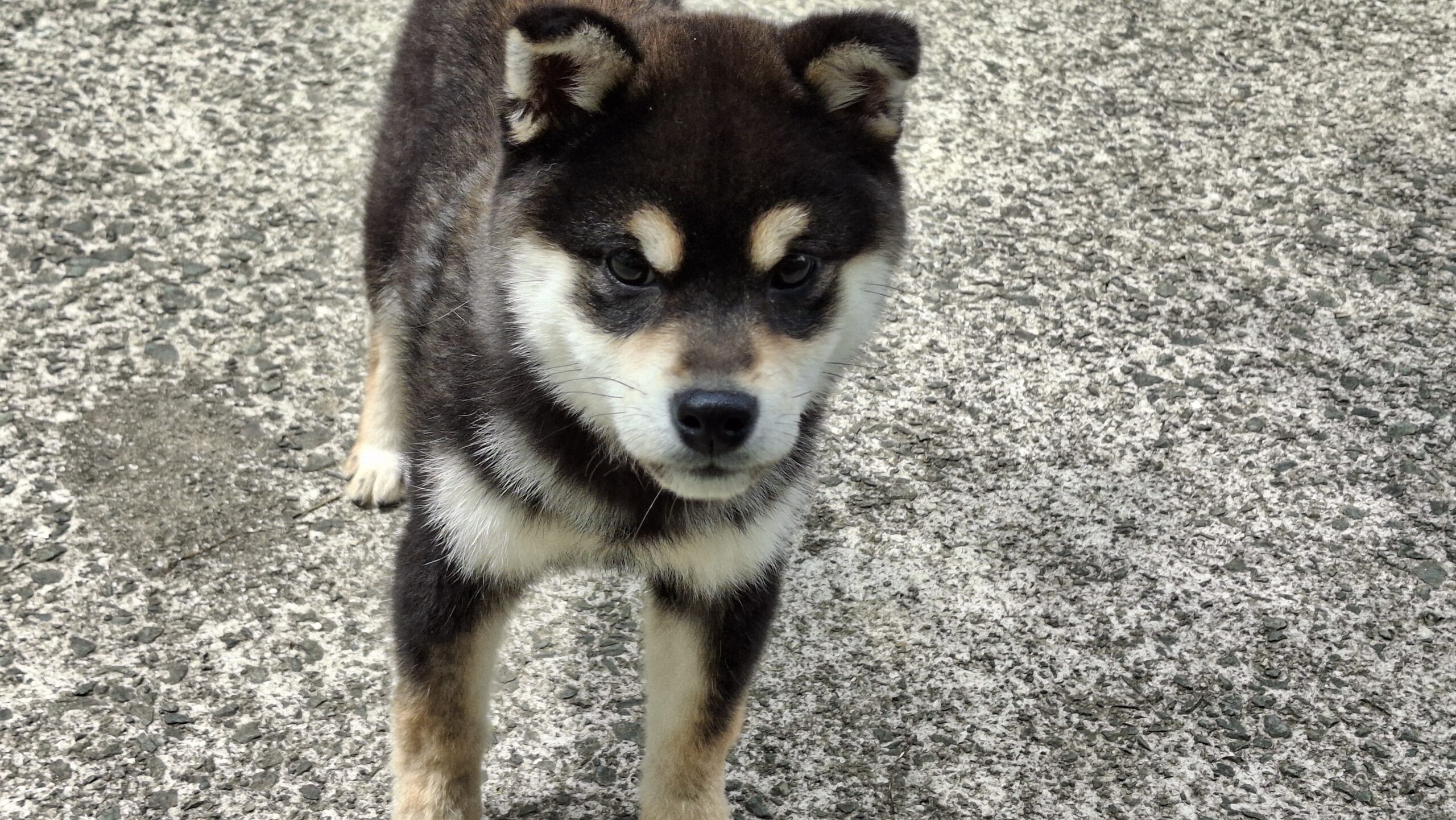 20260506_112915-scaled.jpg