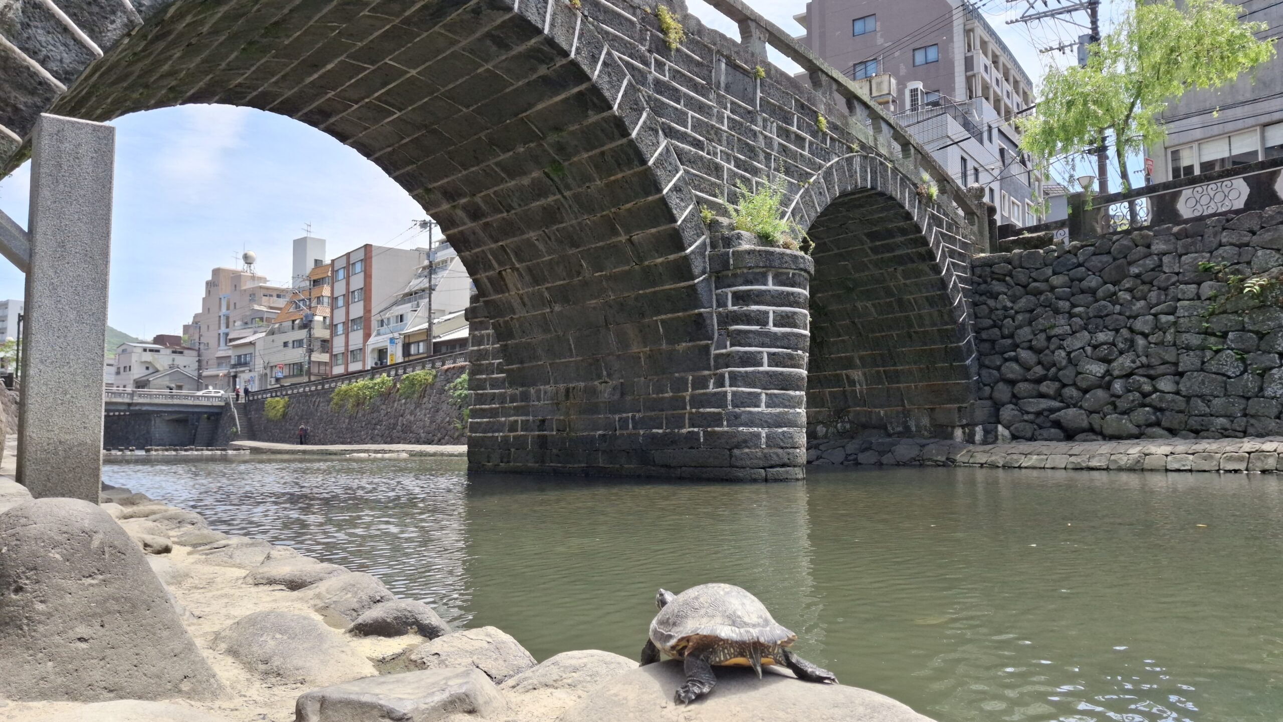 20260508_112013-scaled.jpg