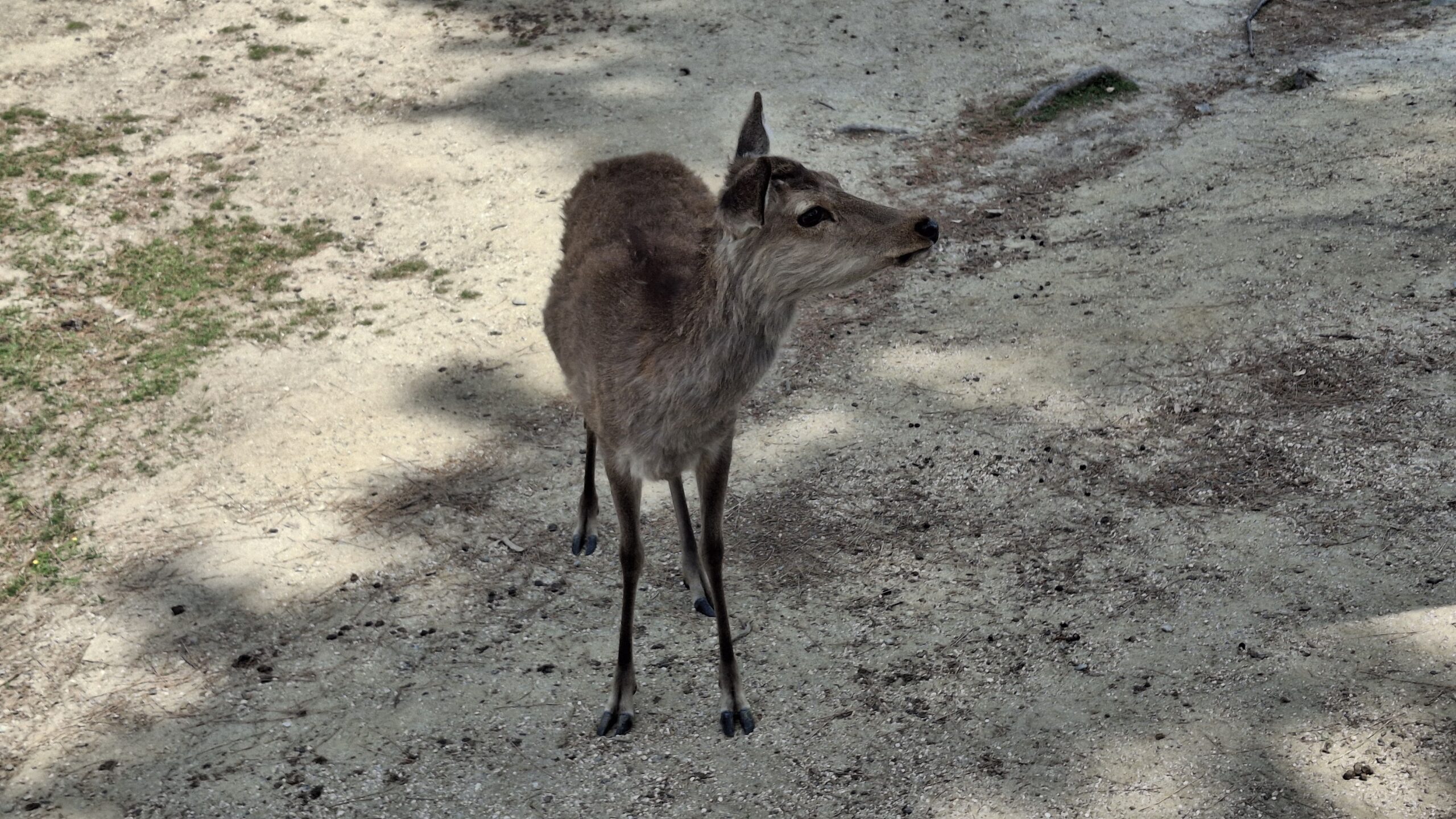 20260513_101136-scaled.jpg