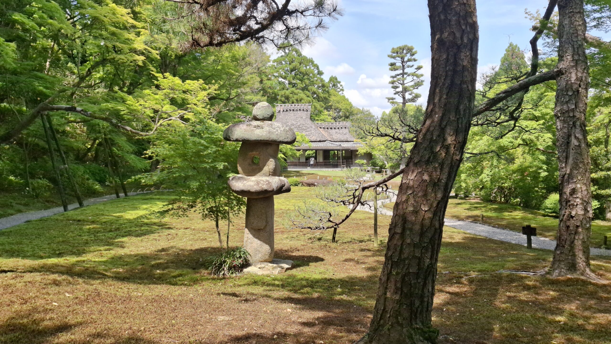 20260513_102750-scaled.jpg