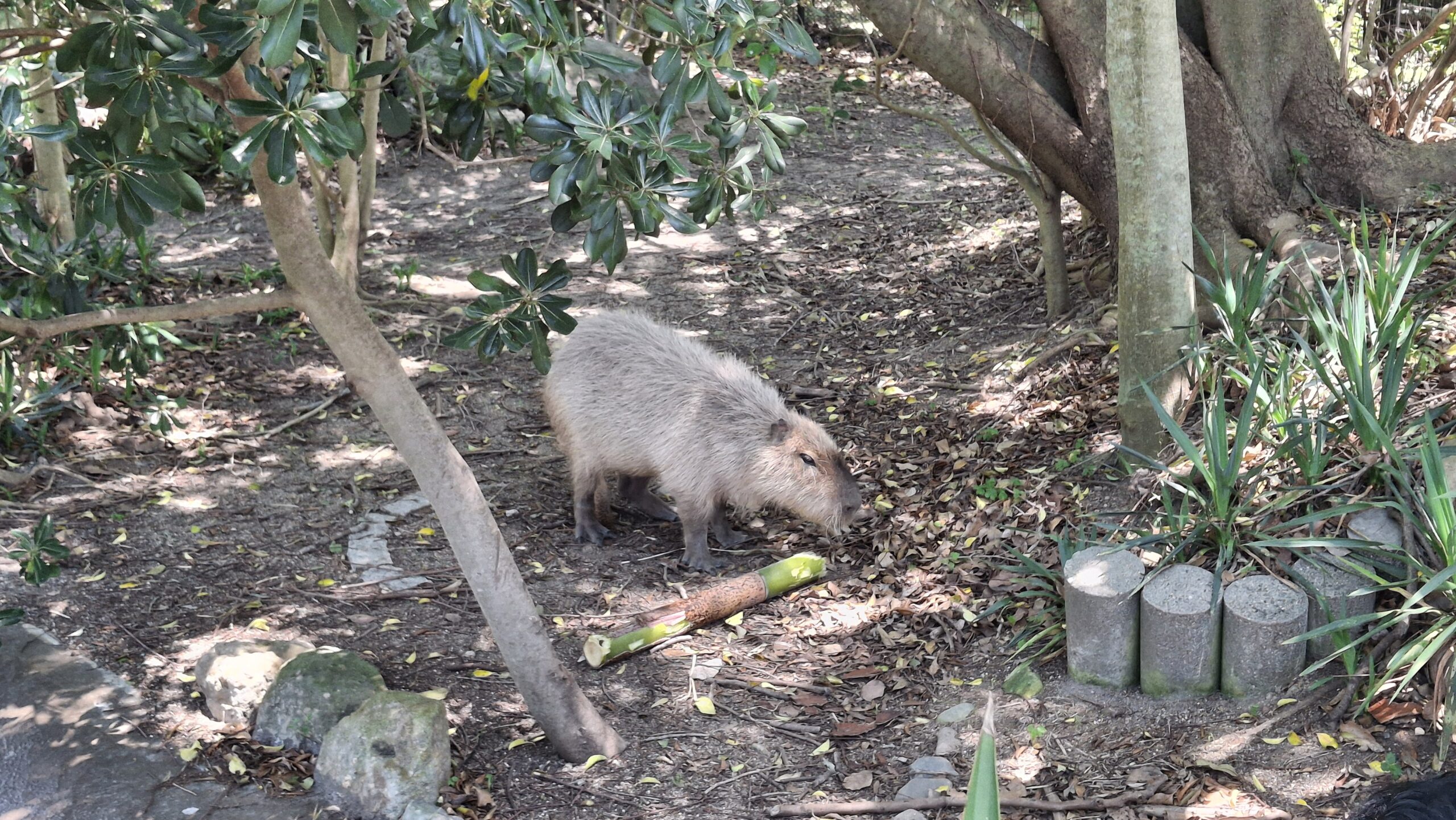20260514_114430-scaled.jpg