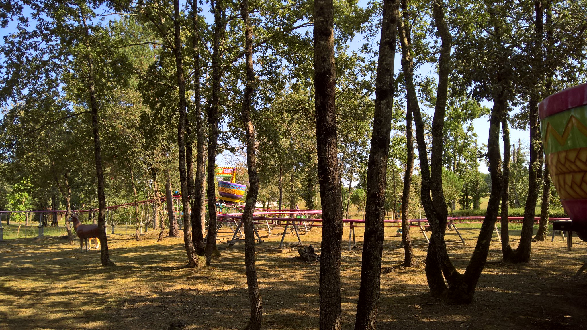 51490004799_11eac83277_k.jpg