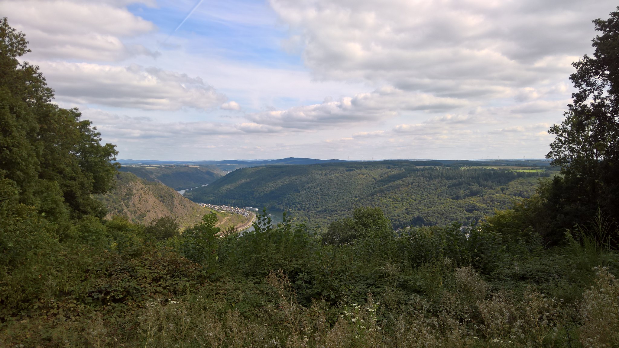 51577907559_fc1259e05e_k.jpg