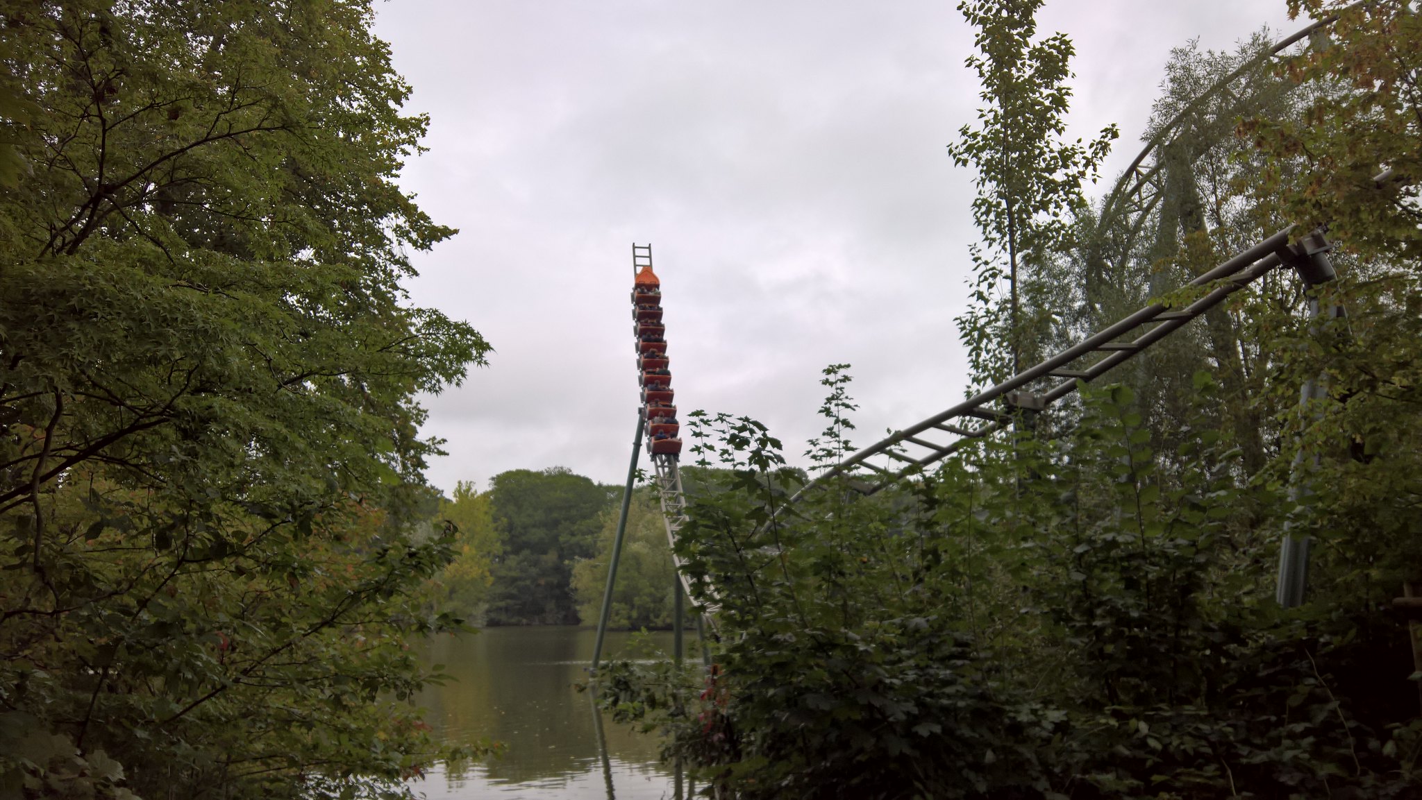 51582949980_e9644c0f7d_k.jpg