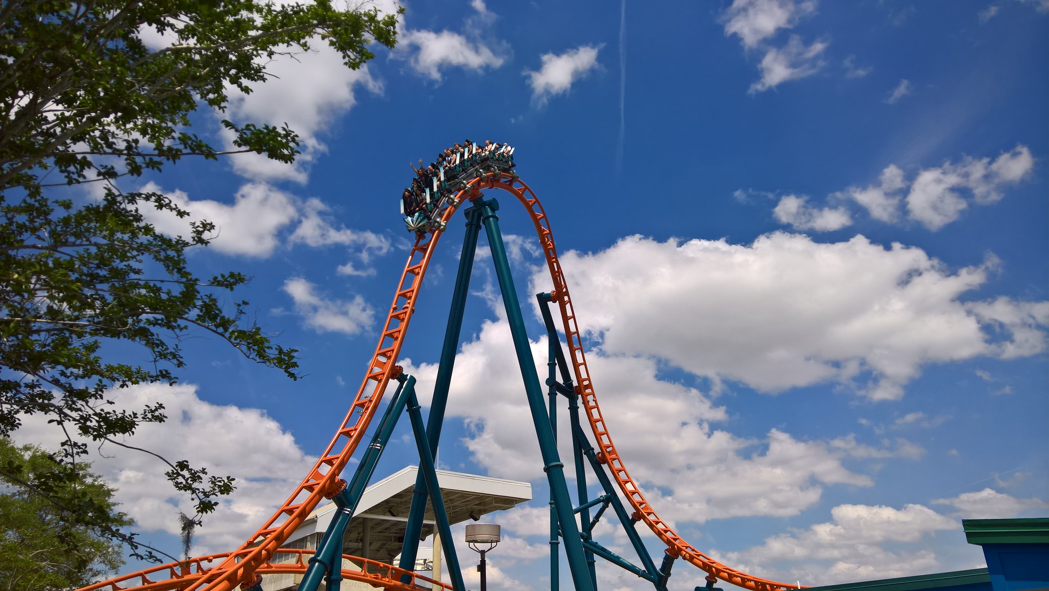 52002935095_6f7b845080_k.jpg
