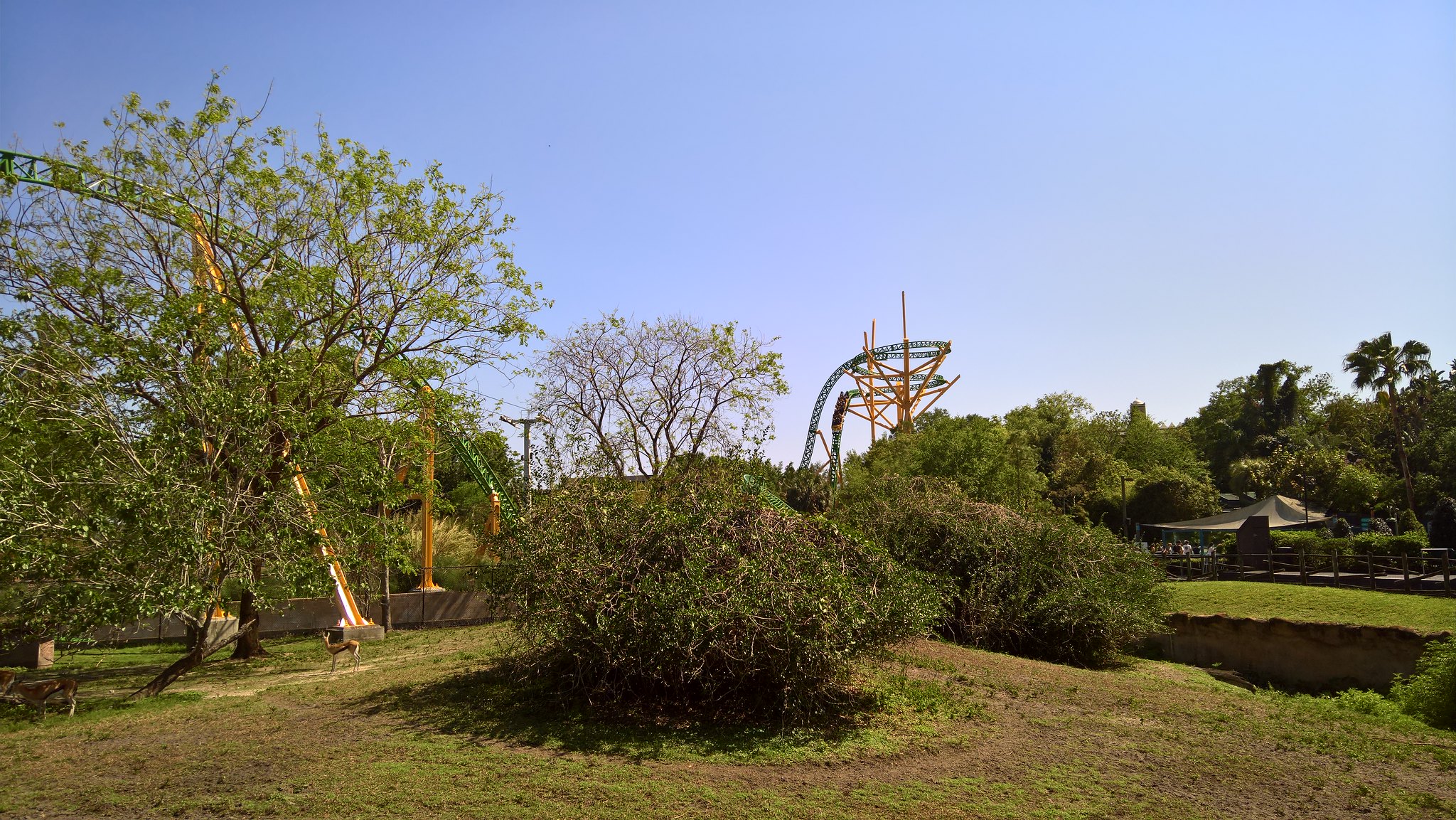 52009282180_ca34d0e1bb_k.jpg