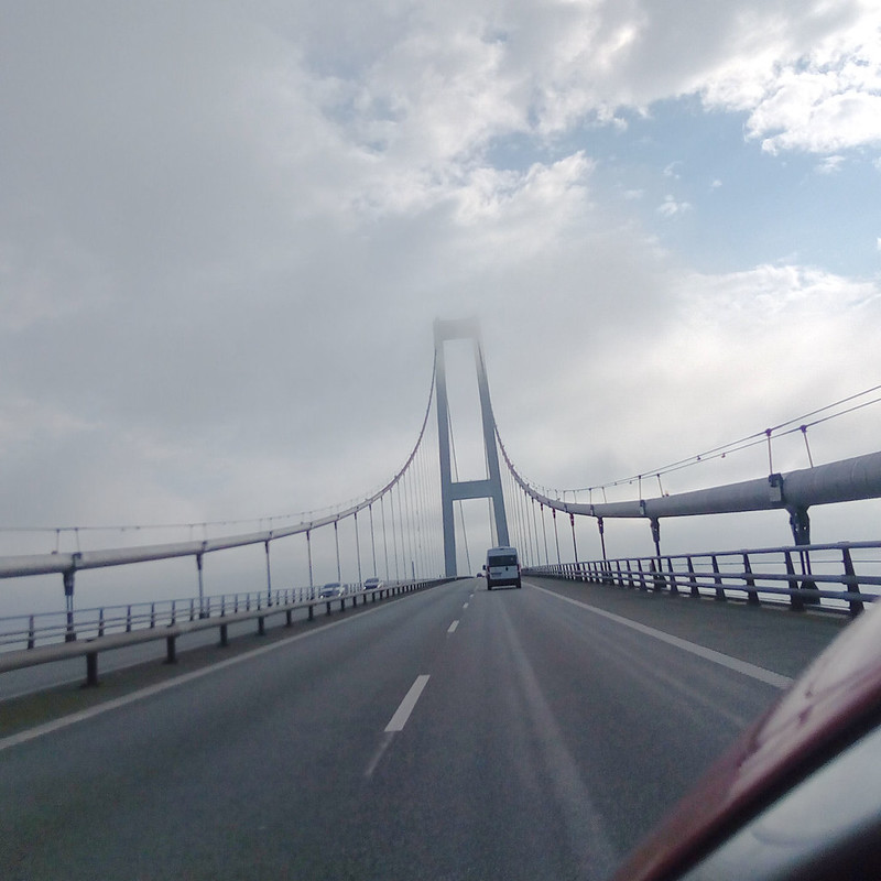 52331582138_4a575cf03e_c.jpg