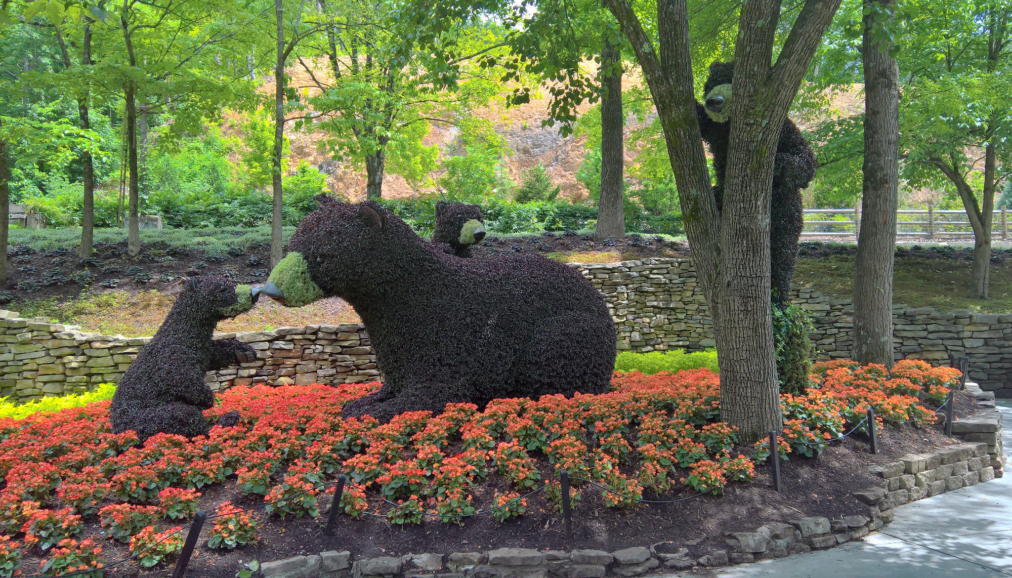 53005506257_651f05a467_k.jpg