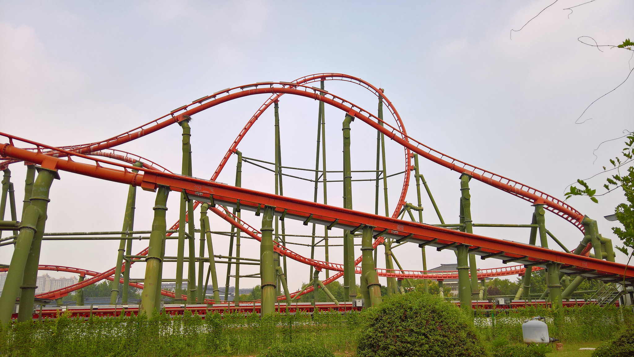53215935613_00366d3f42_k.jpg