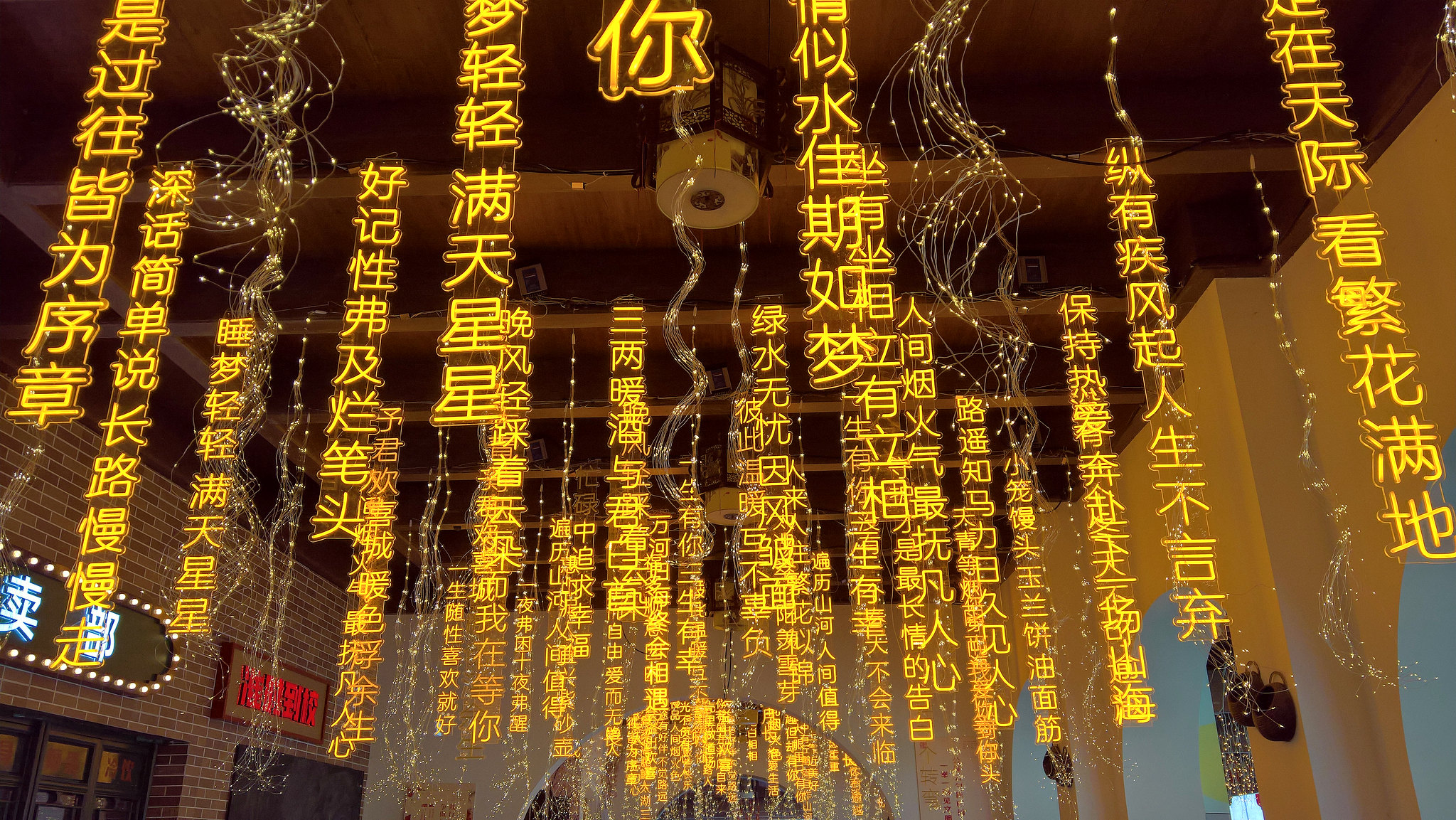 53220679249_c69c7cedf8_k.jpg