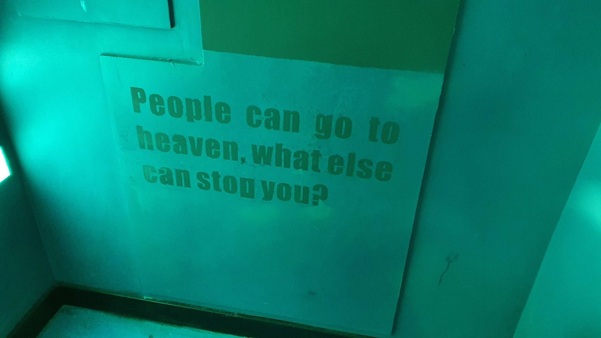 53540392327_ba478aaff7_k.jpg