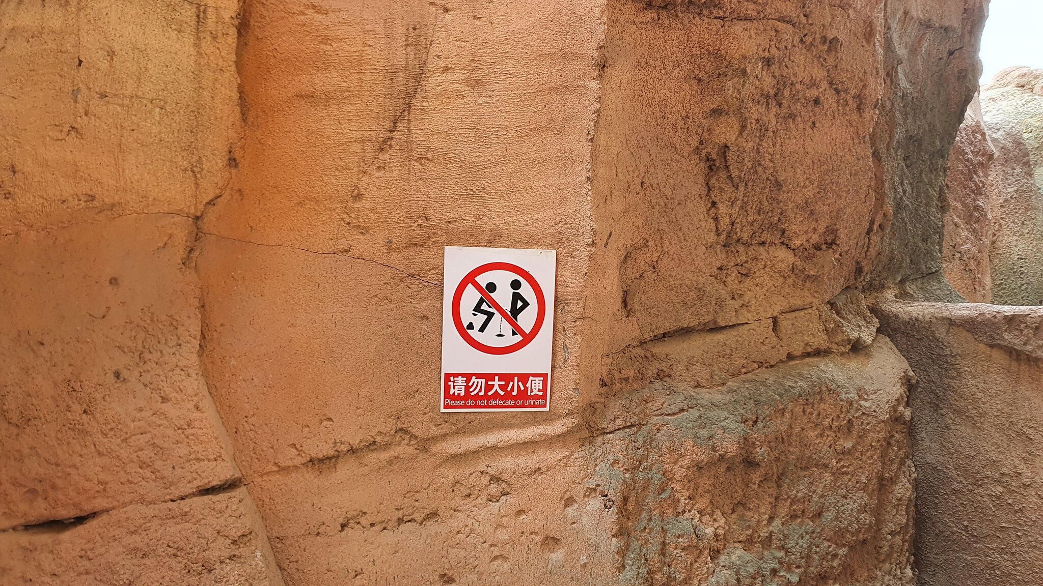 53709590361_c0b8e23c75_k.jpg