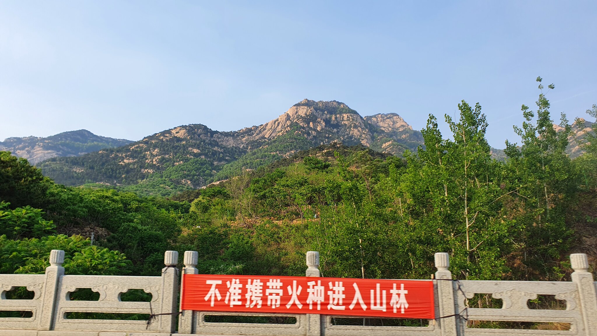 53731088751_82c339c879_k.jpg