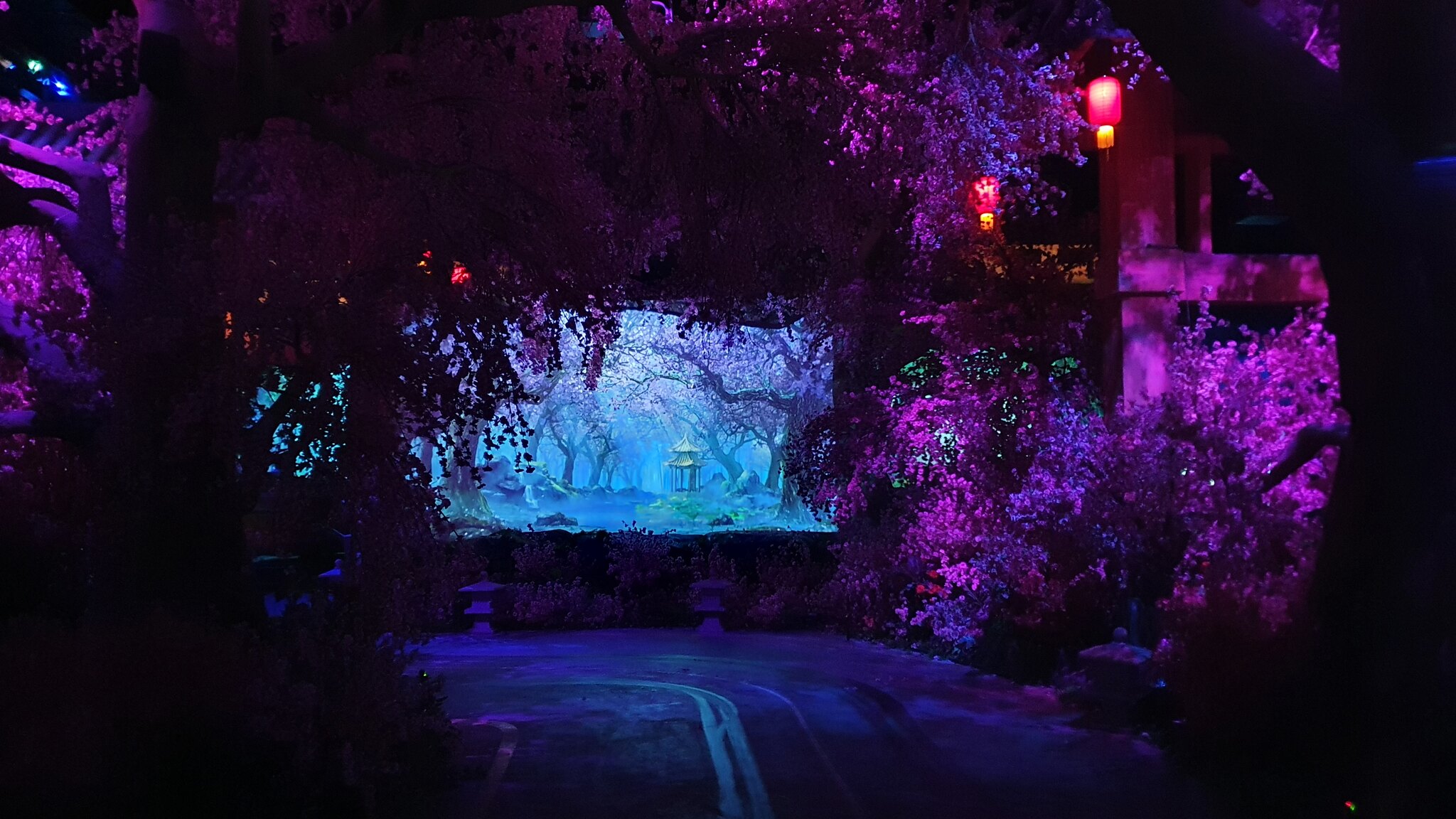 53753091688_6919a95646_k.jpg