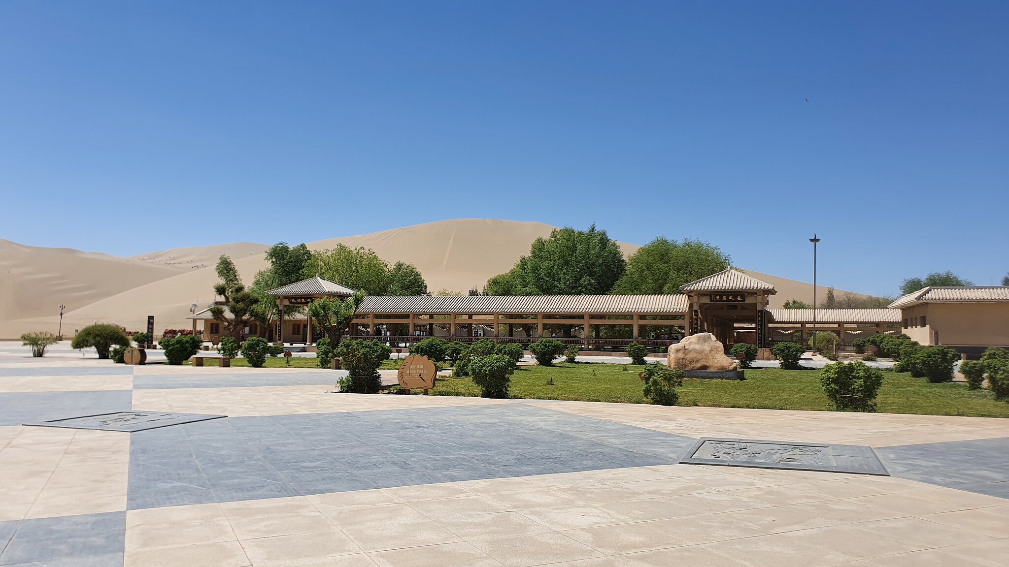 53761806218_07993adc00_k.jpg