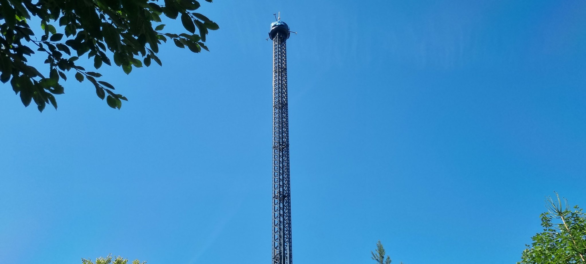 53898909051_a0c7321452_k.jpg