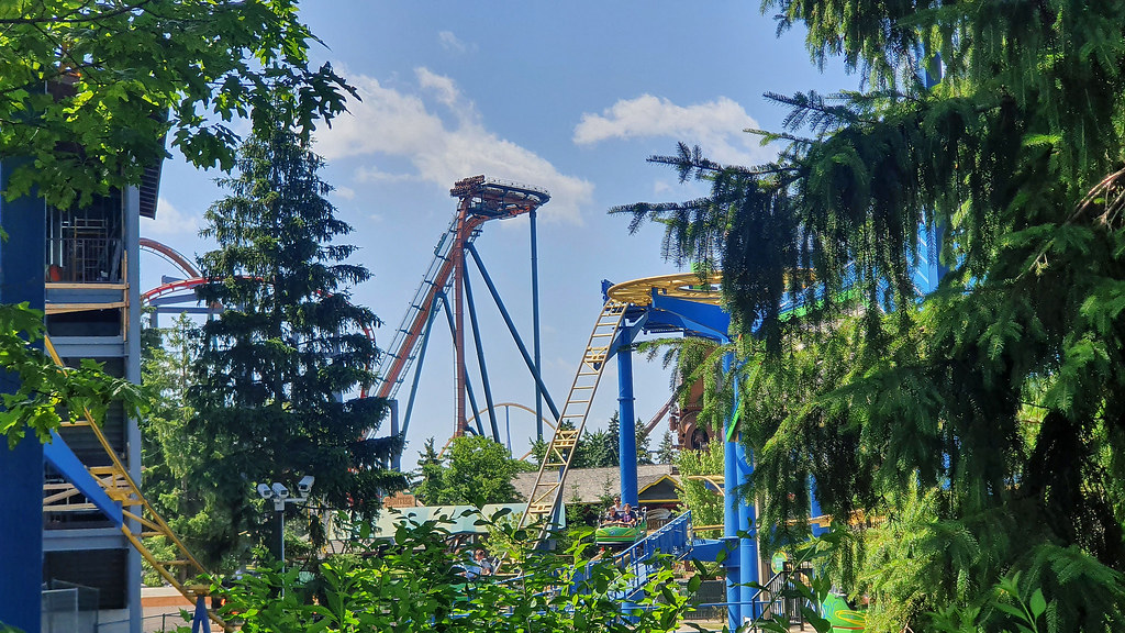 54649883886_1a368b1bf0_b.jpg